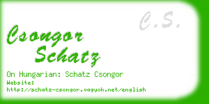 csongor schatz business card